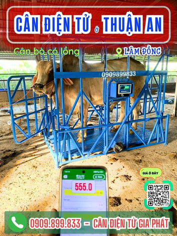 C&acirc;n điện tử ở Thuận An L&acirc;m Đồng - C&acirc;n Gia Ph&aacute;t