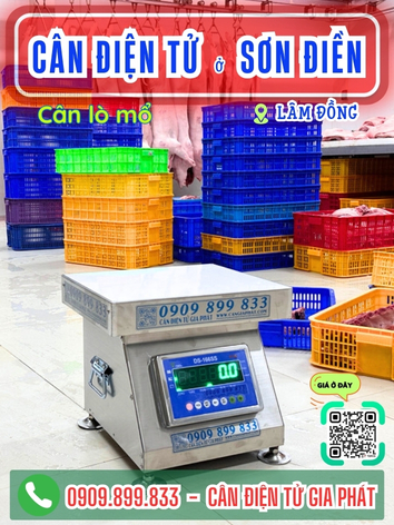 C&acirc;n điện tử ở Sơn Điền L&acirc;m Đồng - C&acirc;n Gia Ph&aacute;t