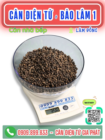 -can-dien-tu-bao-lam-1-lam-dong-can-gia-phat