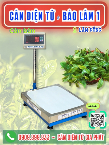 Cân điện tử ở xã Bảo Lâm 1 Lâm Đồng