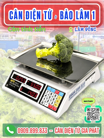 -can-dien-tu-bao-lam-1-lam-dong-can-gia-phat