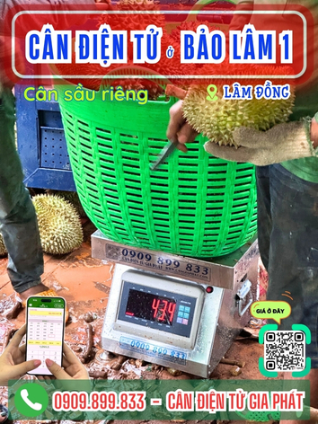 -can-dien-tu-bao-lam-1-lam-dong-can-gia-phat