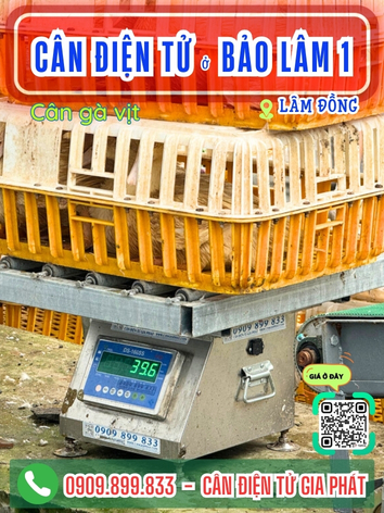 -can-dien-tu-bao-lam-1-lam-dong-can-gia-phat