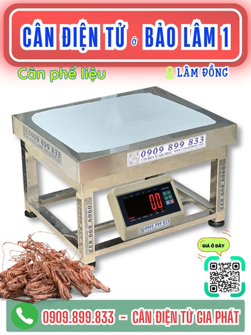 -can-dien-tu-bao-lam-1-lam-dong-can-gia-phat