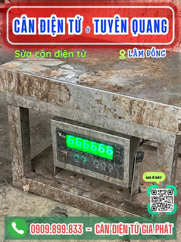 C&acirc;n điện tử ở Tuy&ecirc;n Quang L&acirc;m Đồng - C&acirc;n Gia Ph&aacute;t