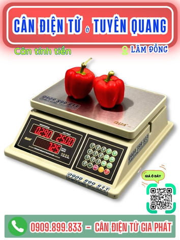 C&acirc;n điện tử ở Tuy&ecirc;n Quang L&acirc;m Đồng - C&acirc;n Gia Ph&aacute;t