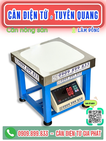 C&acirc;n điện tử ở Tuy&ecirc;n Quang L&acirc;m Đồng - C&acirc;n Gia Ph&aacute;t