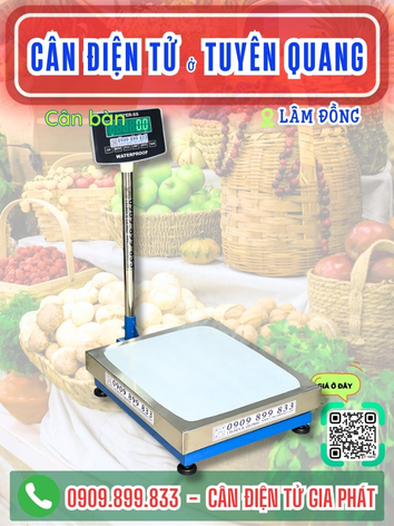 C&acirc;n điện tử ở Tuy&ecirc;n Quang L&acirc;m Đồng - C&acirc;n Gia Ph&aacute;t