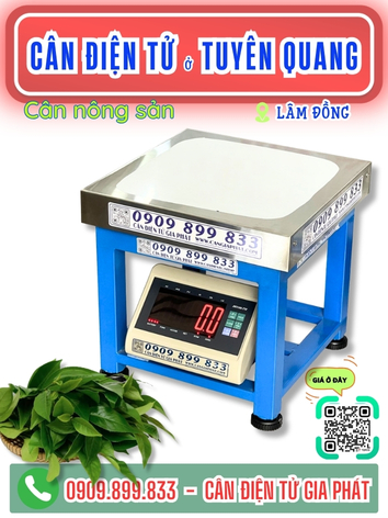 Cân điện tử ở xã Tuyên Quang Lâm Đồng