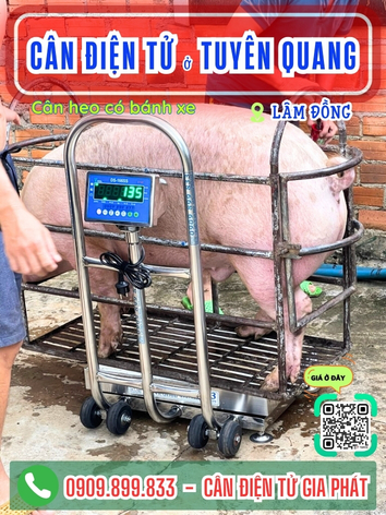 C&acirc;n điện tử ở Tuy&ecirc;n Quang L&acirc;m Đồng - C&acirc;n Gia Ph&aacute;t