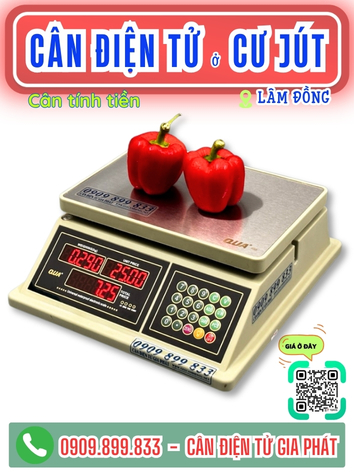 C&acirc;n điện tử ở Cư J&uacute;t L&acirc;m Đồng - C&acirc;n Gia Ph&aacute;t