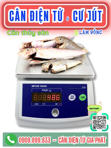 C&acirc;n điện tử ở Cư J&uacute;t L&acirc;m Đồng - C&acirc;n Gia Ph&aacute;t