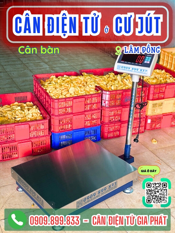 C&acirc;n điện tử ở Cư J&uacute;t L&acirc;m Đồng - C&acirc;n Gia Ph&aacute;t