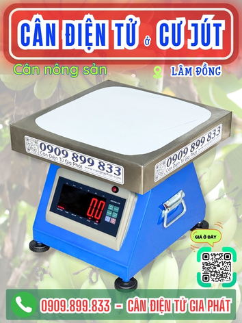 C&acirc;n điện tử ở Cư J&uacute;t L&acirc;m Đồng - C&acirc;n Gia Ph&aacute;t