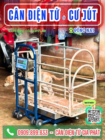 C&acirc;n điện tử ở Cư J&uacute;t L&acirc;m Đồng - C&acirc;n Gia Ph&aacute;t