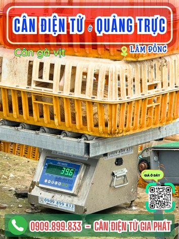 Cân điện tử ở Quảng Trực Lâm Đồng - Cân Gia Phát