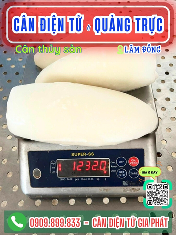 Cân điện tử ở Quảng Trực Lâm Đồng - Cân Gia Phát