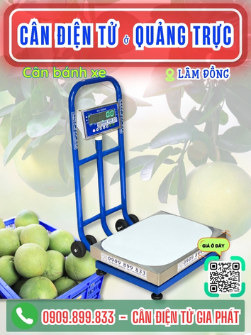 Cân điện tử ở Quảng Trực Lâm Đồng - Cân Gia Phát