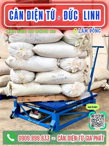 C&acirc;n điện tử ở Đức Linh L&acirc;m Đồng - C&acirc;n Gia Ph&aacute;t