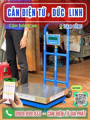 C&acirc;n điện tử ở Đức Linh L&acirc;m Đồng - C&acirc;n Gia Ph&aacute;t