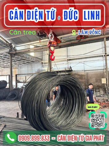 C&acirc;n điện tử ở Đức Linh L&acirc;m Đồng - C&acirc;n Gia Ph&aacute;t