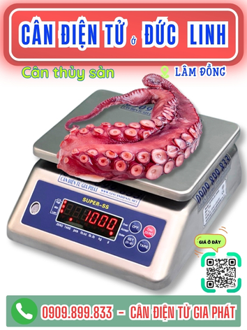 C&acirc;n điện tử ở Đức Linh L&acirc;m Đồng - C&acirc;n Gia Ph&aacute;t