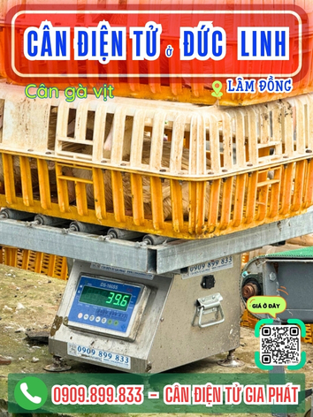 C&acirc;n điện tử ở Đức Linh L&acirc;m Đồng - C&acirc;n Gia Ph&aacute;t