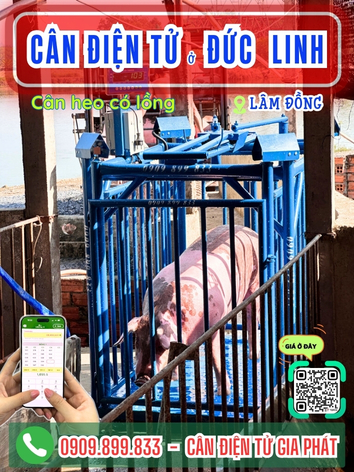 C&acirc;n điện tử ở Đức Linh L&acirc;m Đồng - C&acirc;n Gia Ph&aacute;t