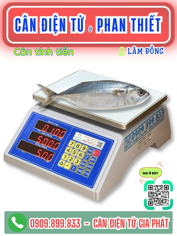 C&acirc;n điện tư ở Phan Thiết L&acirc;m Đồng - C&acirc;n Gia Ph&aacute;t