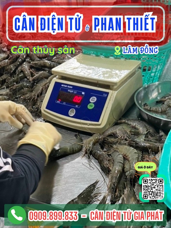 C&acirc;n điện tư ở Phan Thiết L&acirc;m Đồng - C&acirc;n Gia Ph&aacute;t