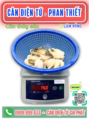 C&acirc;n điện tư ở Phan Thiết L&acirc;m Đồng - C&acirc;n Gia Ph&aacute;t