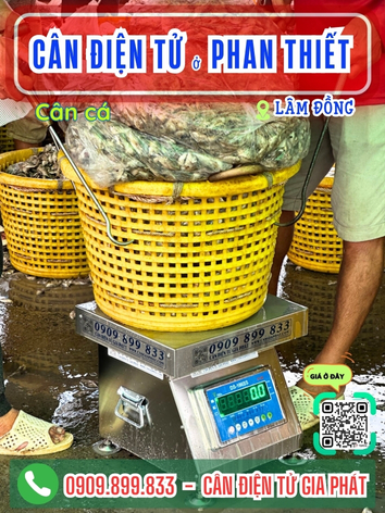 C&acirc;n điện tư ở Phan Thiết L&acirc;m Đồng - C&acirc;n Gia Ph&aacute;t