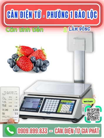C&acirc;n điện tử phường 1 Bảo Lộc L&acirc;m Đồng - C&acirc;n Gia Ph&aacute;t
