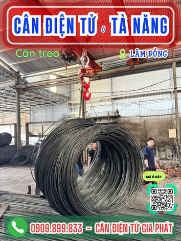 C&acirc;n điện tử ở T&agrave; Năng L&acirc;m Đồng - C&acirc;n Gia Ph&aacute;t