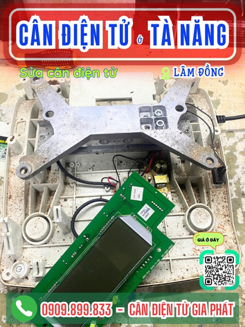 C&acirc;n điện tử ở T&agrave; Năng L&acirc;m Đồng - C&acirc;n Gia Ph&aacute;t