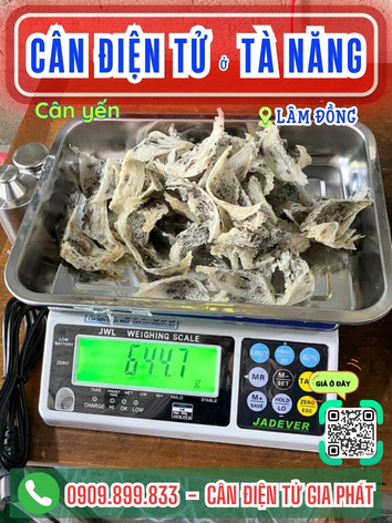 C&acirc;n điện tử ở T&agrave; Năng L&acirc;m Đồng - C&acirc;n Gia Ph&aacute;t