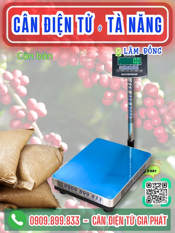 C&acirc;n điện tử ở T&agrave; Năng L&acirc;m Đồng - C&acirc;n Gia Ph&aacute;t