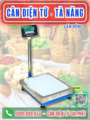 C&acirc;n điện tử ở T&agrave; Năng L&acirc;m Đồng - C&acirc;n Gia Ph&aacute;t