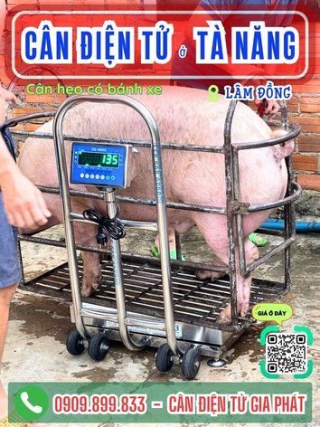 C&acirc;n điện tử ở T&agrave; Năng L&acirc;m Đồng - C&acirc;n Gia Ph&aacute;t