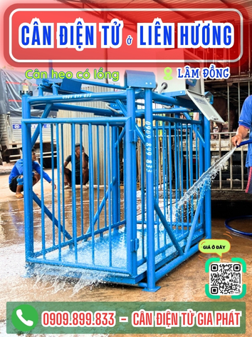 Cân điện tử ở Liên Hương Lâm Đồng - Cân Gia Phát