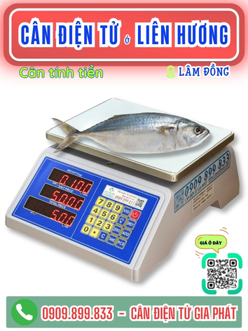 Cân điện tử ở Liên Hương Lâm Đồng - Cân Gia Phát