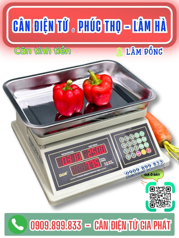 Cân điện tử ở Phúc Thọ - Lâm Hà Lâm Đồng - Cân Gia Phát