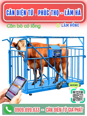 Cân điện tử ở Phúc Thọ - Lâm Hà Lâm Đồng - Cân Gia Phát