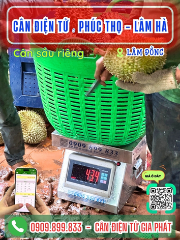 Cân điện tử ở Phúc Thọ - Lâm Hà Lâm Đồng - Cân Gia Phát