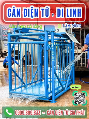 C&acirc;n điện tử ở Di Linh L&acirc;m Đồng - C&acirc;n Gia Ph&aacute;t