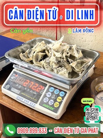 C&acirc;n điện tử ở Di Linh L&acirc;m Đồng - C&acirc;n Gia Ph&aacute;t