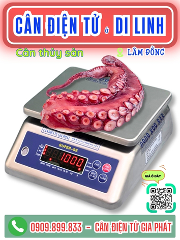 C&acirc;n điện tử ở Di Linh L&acirc;m Đồng - C&acirc;n Gia Ph&aacute;t