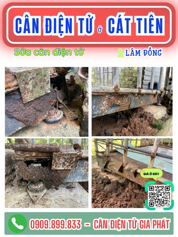 C&acirc;n điện tử ở C&aacute;t Ti&ecirc;n L&acirc;m Đồng - C&acirc;n Gia Ph&aacute;t