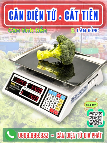 C&acirc;n điện tử ở C&aacute;t Ti&ecirc;n L&acirc;m Đồng - C&acirc;n Gia Ph&aacute;t