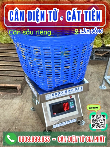 C&acirc;n điện tử ở C&aacute;t Ti&ecirc;n L&acirc;m Đồng - C&acirc;n Gia Ph&aacute;t